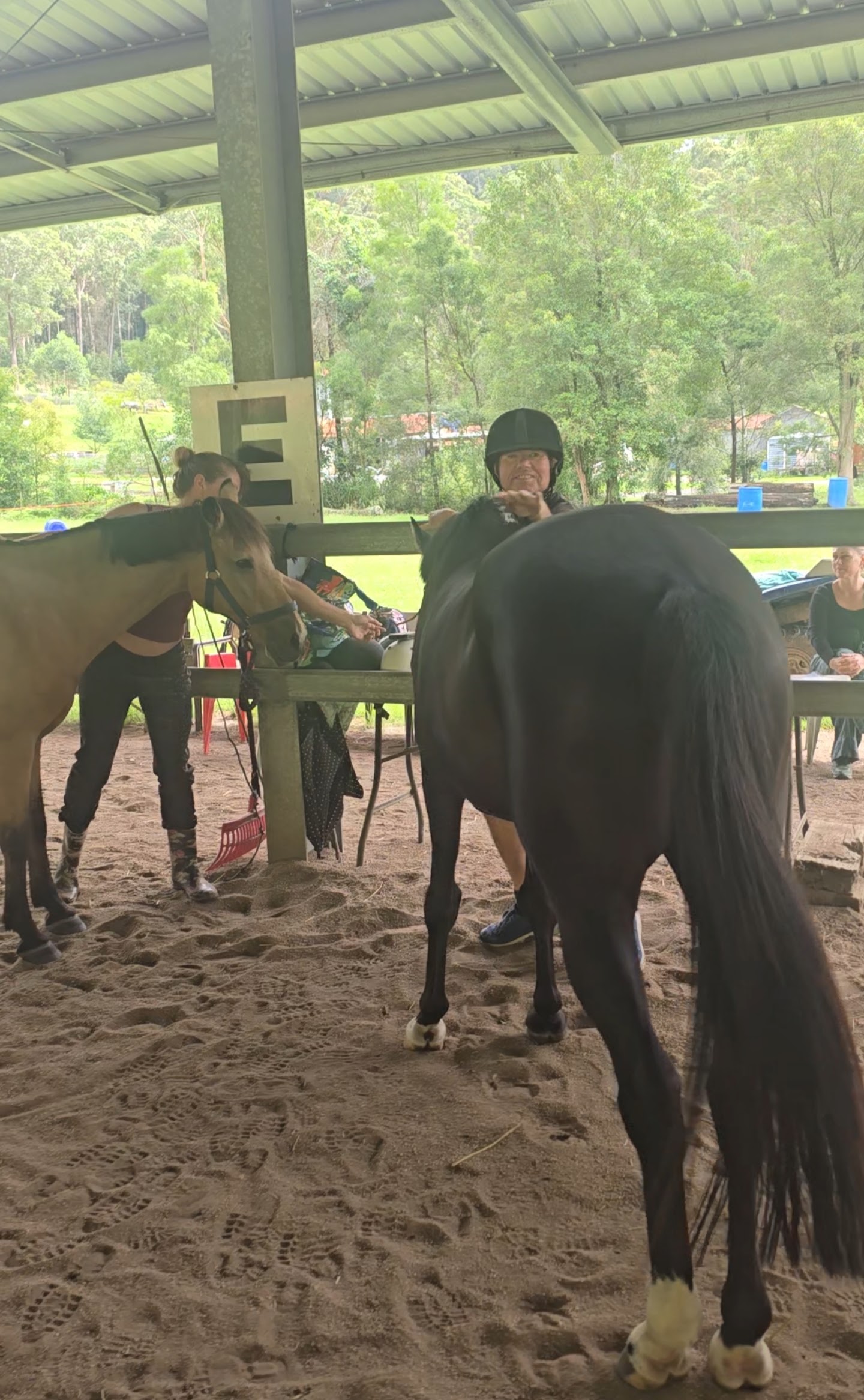 A participant in a helmet greeting a horse at the arena with friends nearby
